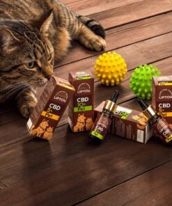 CBD 5 % PET – foto 6
