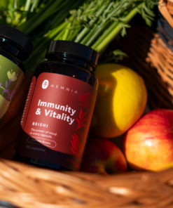 Reishi Capsules 90 x 500 mg – foto 3