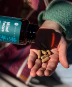Ginkgo + Guarana Capsules 90 x 500 mg – foto 4