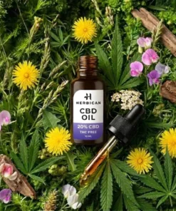 CBD Oil 20% THC Free, 2,000 mg, 10 ml – foto 3