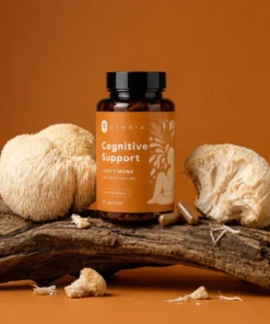 Lion’s Mane Capsules 90 x 500 mg – foto 2