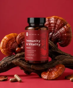 Reishi Capsules 90 x 500 mg – foto 2